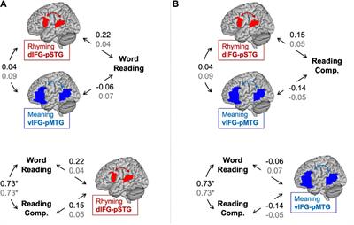 Neural pathways of phonological and semantic processing and its relations to children’s reading skills